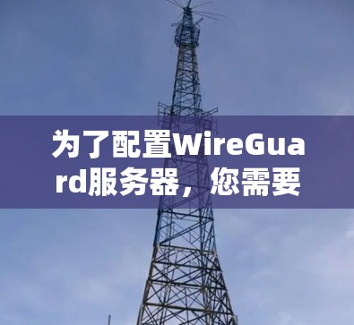 为了配置WireGuard服务器，您需要按照以下步骤进行操作。请注意，这些步骤可能根据您的设备和网络环境有所不同，建议根据实际情况进行调整
