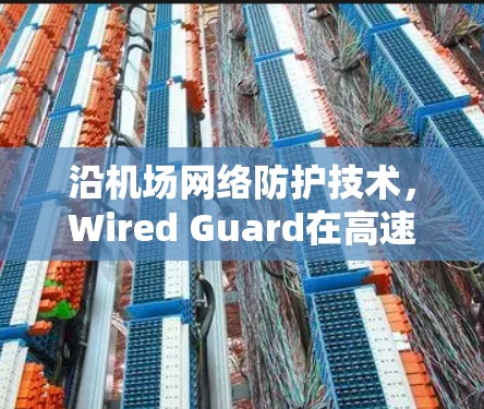 沿机场网络防护技术，Wired Guard在高速数据流中的应用