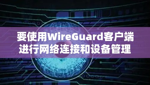 要使用WireGuard客户端进行网络连接和设备管理，您可以按照以下步骤操作