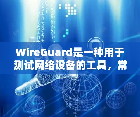 WireGuard是一种用于测试网络设备的工具，常用于验证路由器、交换机等设备是否能够正确连接到网络。它支持测试路由配置、带宽测试、流量监控、故障检测等多种功能。以下是对WireGuard的详细介绍