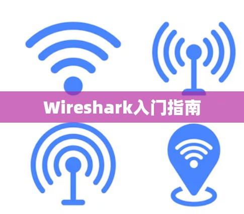 Wireshark入门指南
