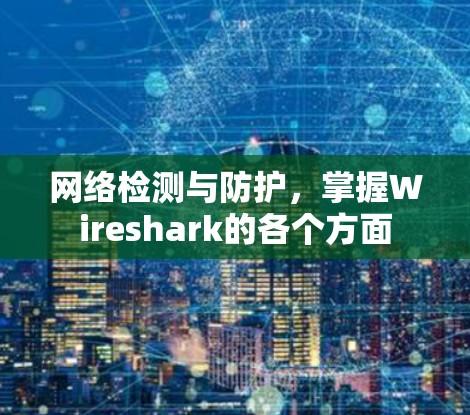 网络检测与防护，掌握Wireshark的各个方面