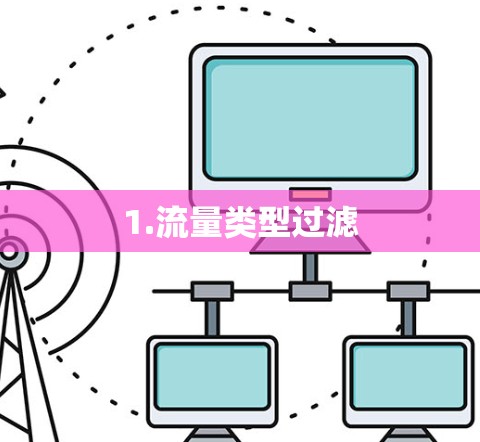 1.流量类型过滤