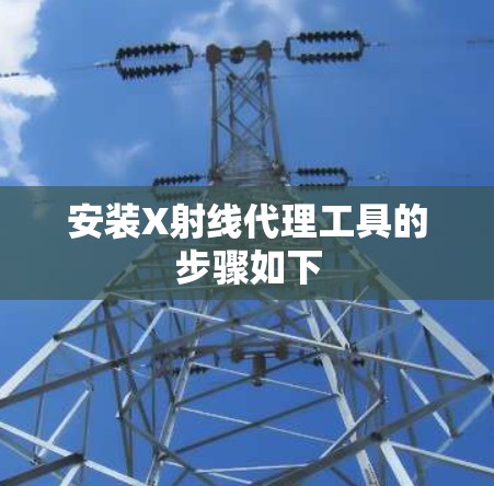 安装X射线代理工具的步骤如下