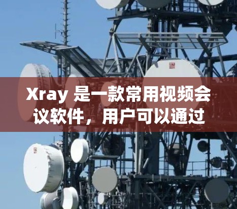 Xray 是一款常用视频会议软件，用户可以通过它安排视频会议、添加设备、管理会议记录和其他会议功能。以下是一些关于 Xray 订阅设置的步骤