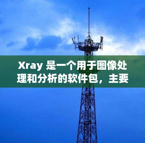 Xray 是一个用于图像处理和分析的软件包，主要用于 X 射线、CT、MRI 和其他成像技术中的图像处理和分析。以下是对 Xray 配置文件的详细说明