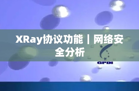 XRay协议功能｜网络安全分析