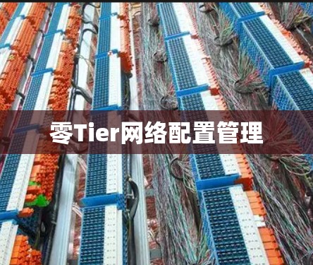 零Tier网络配置管理 零Tier网络配置管理