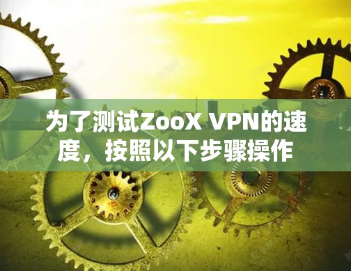 为了测试ZooX VPN的速度，按照以下步骤操作