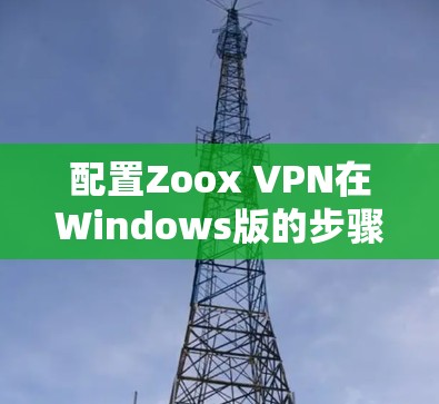 配置Zoox VPN在Windows版的步骤如下