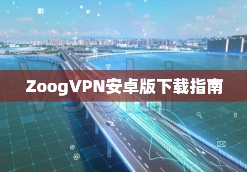 ZoogVPN安卓版下载指南