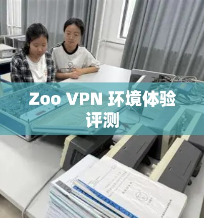 Zoo VPN 环境体验评测
