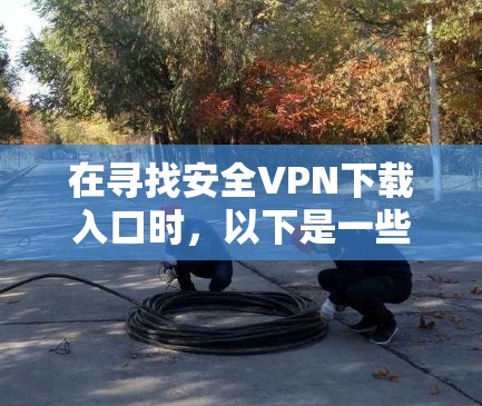 在寻找安全VPN下载入口时，以下是一些推荐的步骤和建议