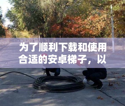 为了顺利下载和使用合适的安卓梯子，以下是一步步的建议