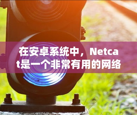 在安卓系统中,Netcat是一个非常有用的网络代理工具,能够帮助你进行网络测试和配置优化。以下是对Netcat的详细总结 在安卓系统中,Netcat是一个非常有用的网络代理工具,能够帮助你进行网络测试和配置优化。以下是对Netcat的详细总结