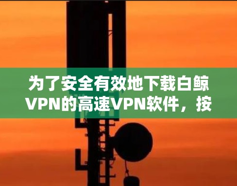 为了安全有效地下载白鲸VPN的高速VPN软件，按照以下步骤操作