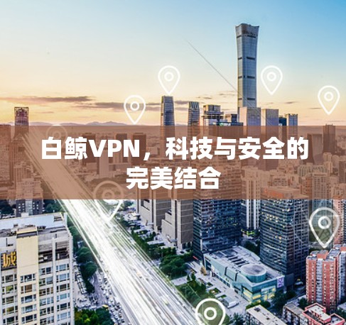白鲸VPN，科技与安全的完美结合