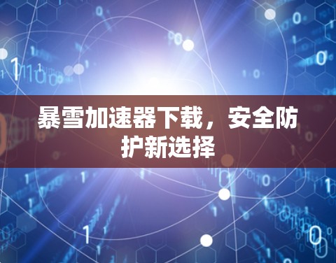 暴雪加速器下载,安全防护新选择 暴雪加速器下载,安全防护新选择