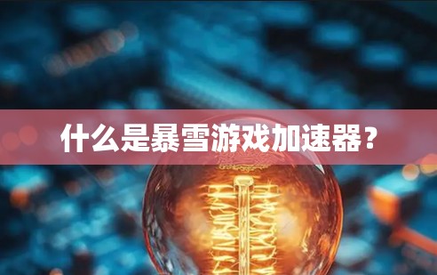 什么是暴雪游戏加速器? 什么是暴雪游戏加速器?