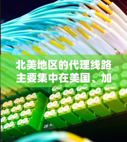 北美地区的代理线路主要集中在美国、加拿大、英国和澳大利亚等地。以下是北美地区的主要代理公司及其业务范围