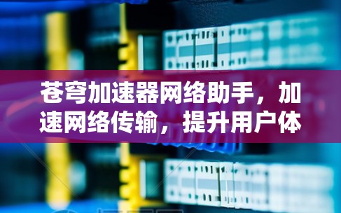 苍穹加速器网络助手，加速网络传输，提升用户体验的高效解决方案