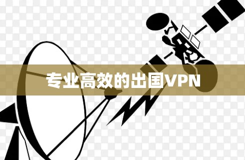 专业高效的出国VPN