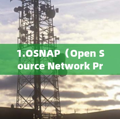 1.OSNAP（Open Source Network Protocol Access）