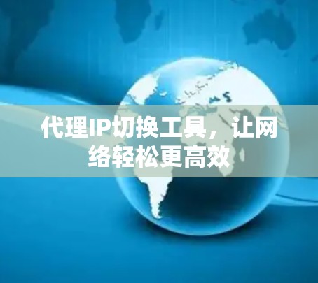 代理IP切换工具，让网络轻松更高效