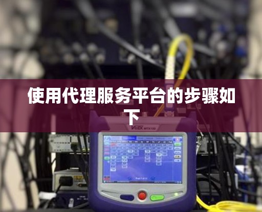 使用代理服务平台的步骤如下