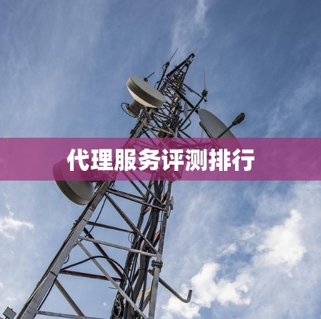 代理服务评测排行