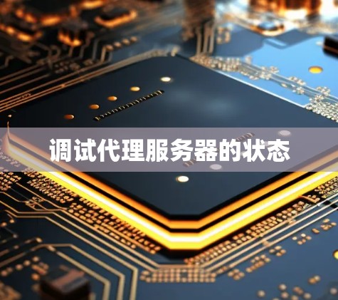 调试代理服务器的状态