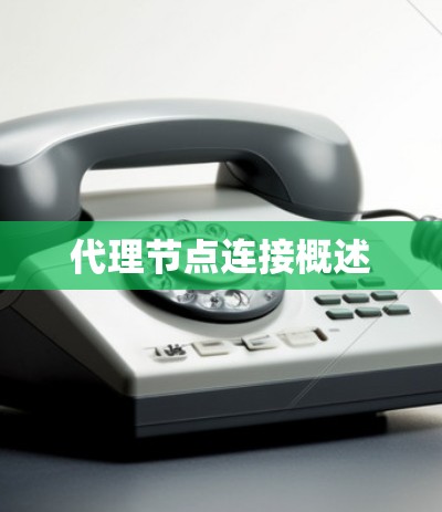 代理节点连接概述