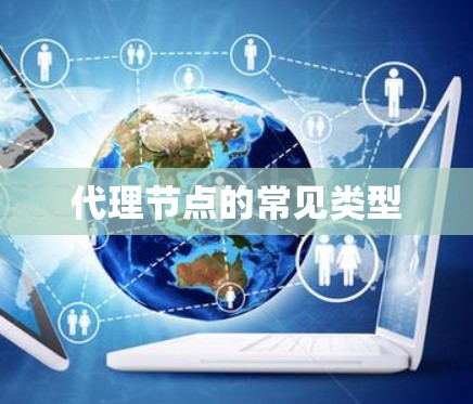 代理节点的常见类型