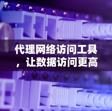 代理网络访问工具，让数据访问更高效