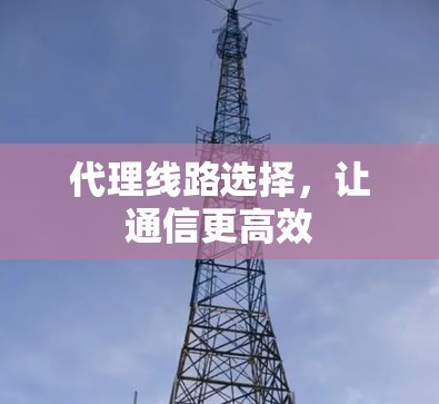 代理线路选择，让通信更高效