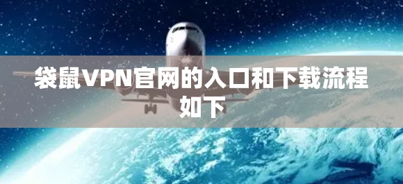 袋鼠VPN官网的入口和下载流程如下