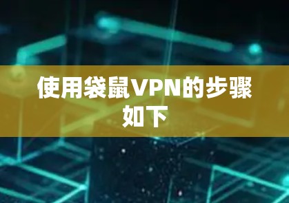 使用袋鼠VPN的步骤如下