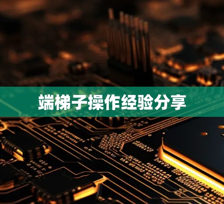 端梯子操作经验分享