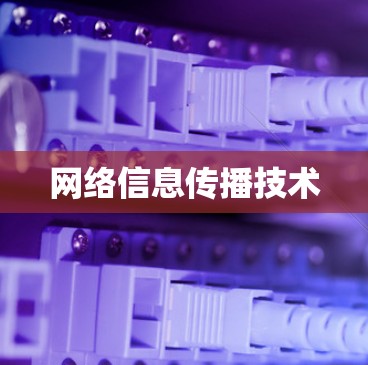 网络信息传播技术