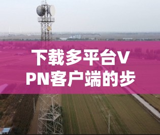 下载多平台VPN客户端的步骤因平台而异，以下是针对Windows、MacOS、iOS和Android平台的详细步骤