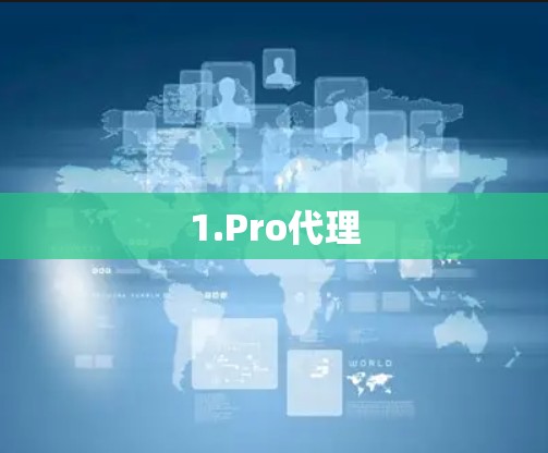 1.Pro代理