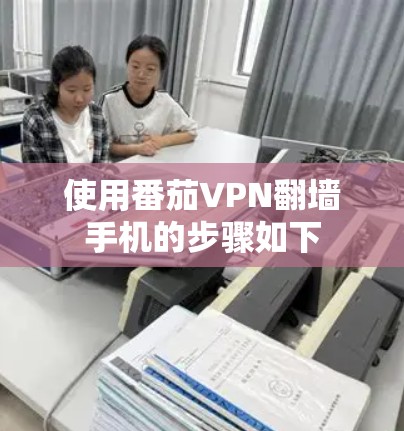 使用番茄VPN翻墙手机的步骤如下