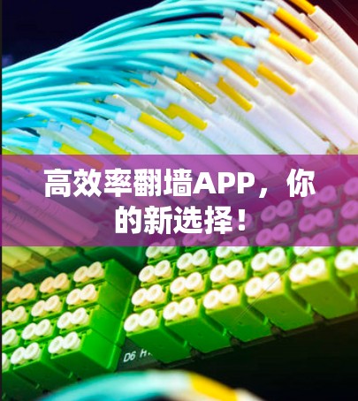 高效率翻墙APP，你的新选择！