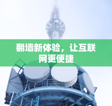 翻墙新体验，让互联网更便捷