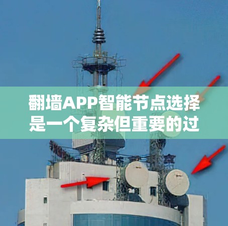 翻墙APP智能节点选择是一个复杂但重要的过程，旨在通过智能算法推荐适合的设备进行配置。以下是对这一过程的详细分析