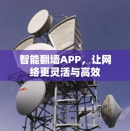 智能翻墙APP，让网络更灵活与高效
