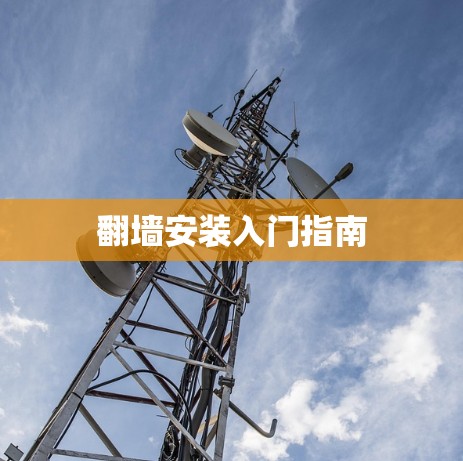 翻墙安装入门指南