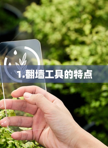 1.翻墙工具的特点