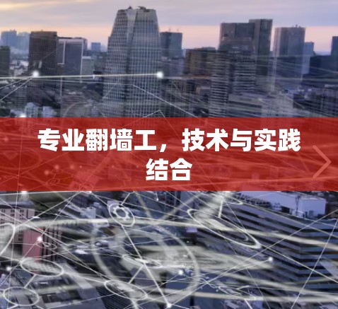 专业翻墙工，技术与实践结合