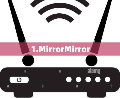 1.MirrorMirror